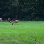 Traumzeithof 3* Eschede