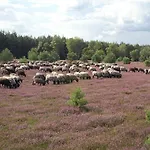 Traumzeithof Konukevi Eschede