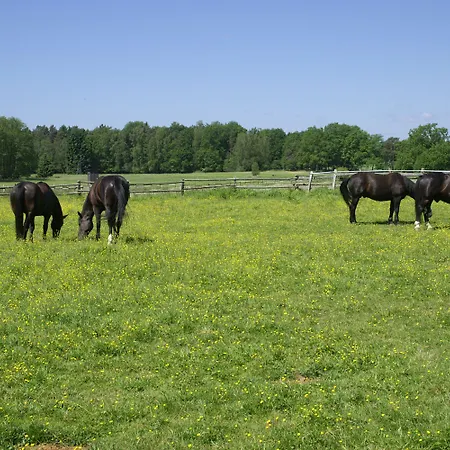 Traumzeithof 3* Eschede