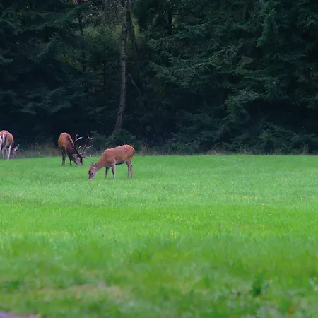 Traumzeithof 3* Eschede