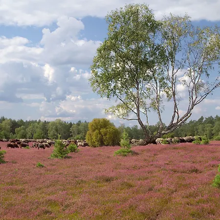 Gæstehus Traumzeithof 3*