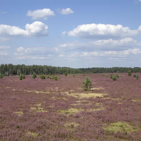 Traumzeithof Πανσιόν