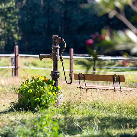 Traumzeithof 3* Eschede