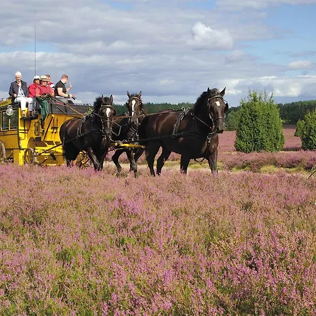 Traumzeithof Eschede