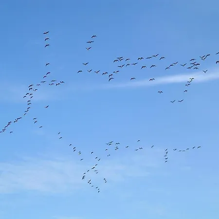 Πανσιόν Traumzeithof