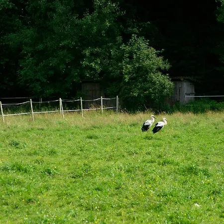 Traumzeithof Πανσιόν Eschede