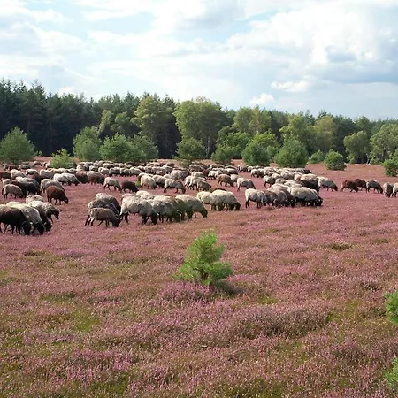 Penzion Traumzeithof Eschede