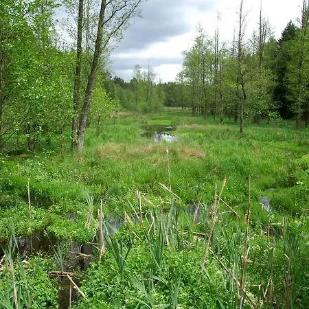 Traumzeithof 3* Eschede