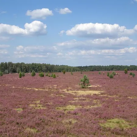 Traumzeithof 3* Eschede