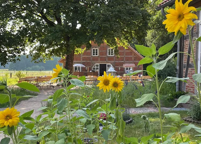 Гостевой дом Traumzeithof Eschede
