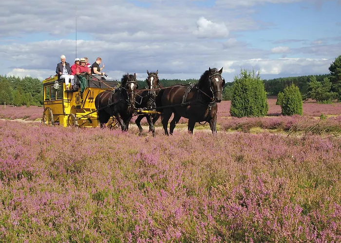 Traumzeithof Eschede