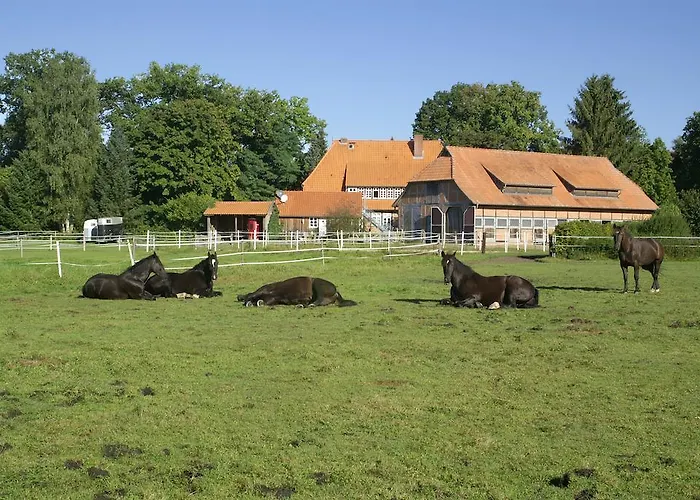 Traumzeithof Penzion Eschede