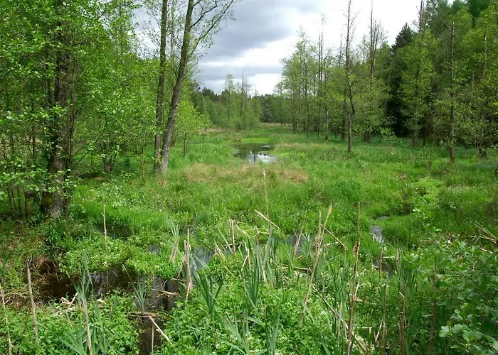 Traumzeithof 3* Eschede